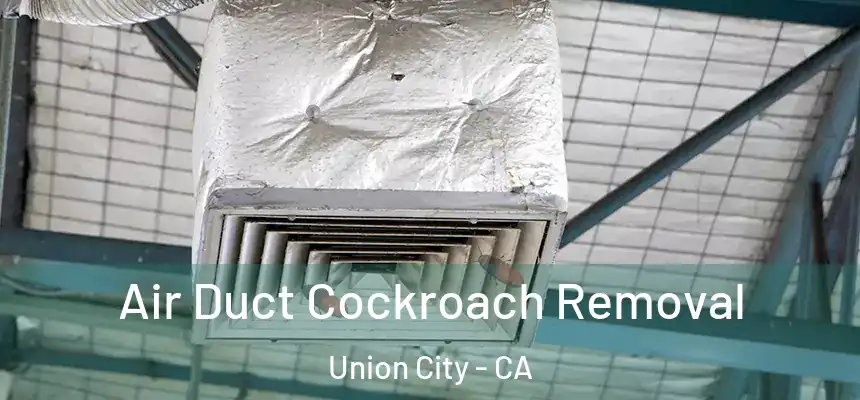 Air Duct Cockroach Removal Union City - CA