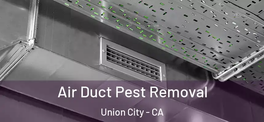 Air Duct Pest Removal Union City - CA