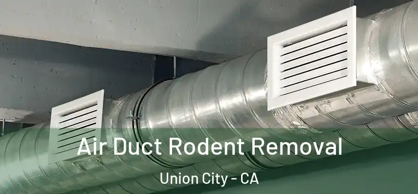 Air Duct Rodent Removal Union City - CA