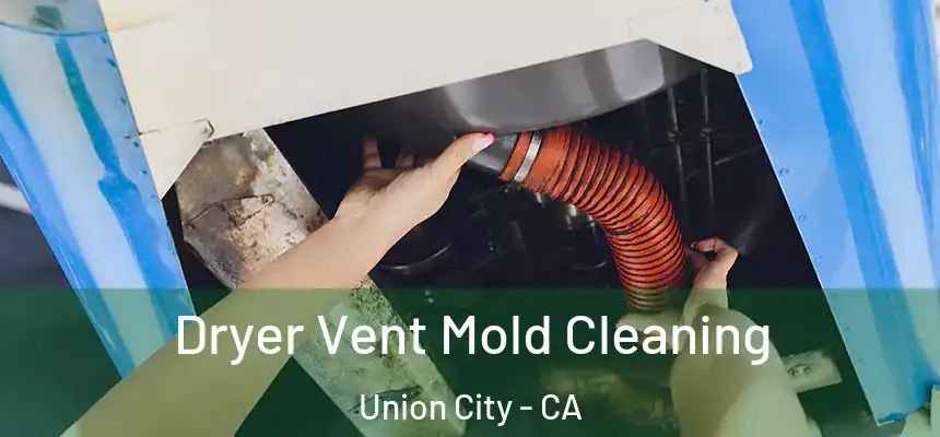 Dryer Vent Mold Cleaning Union City - CA