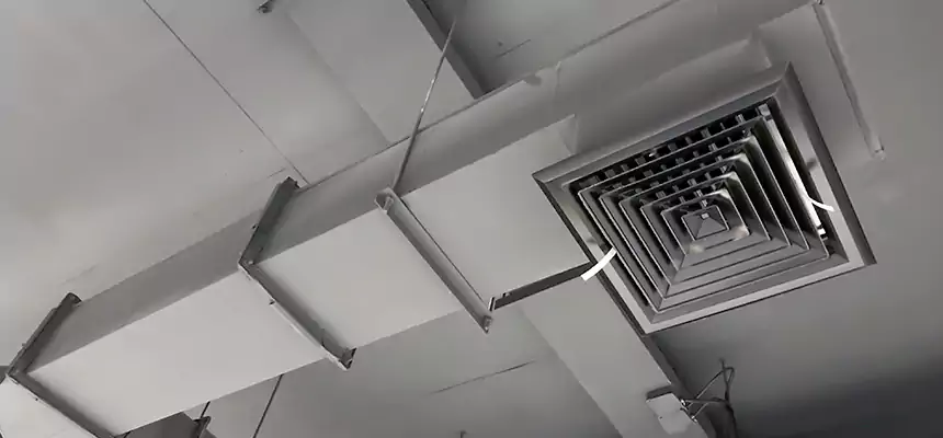 Our Rodent Droppings In Vents Services in Union City, CA