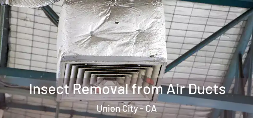 Insect Removal from Air Ducts Union City - CA