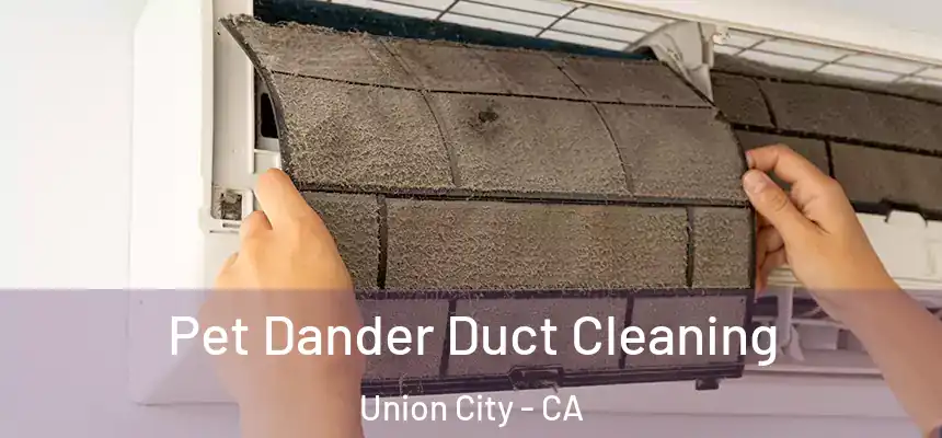Pet Dander Duct Cleaning Union City - CA