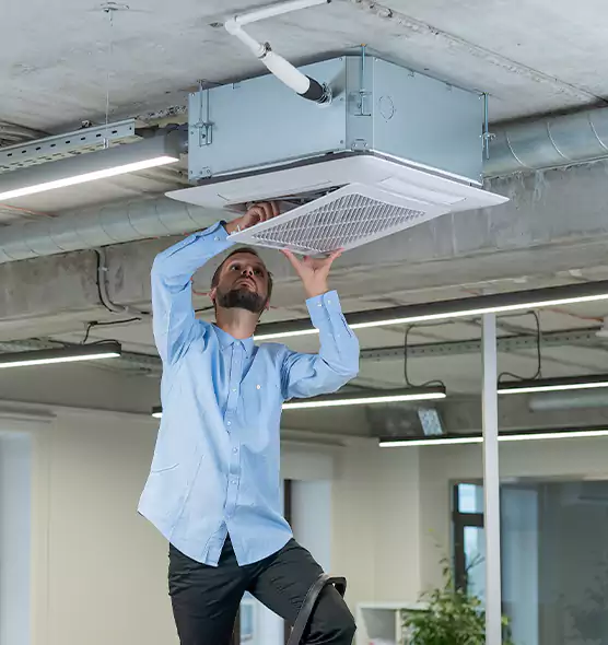 Advanced Rodent Droppings In Vents in Union City, CA