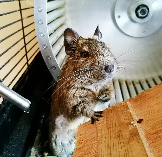 Why Homeowners & Businesses Trust Us Union City, CA?