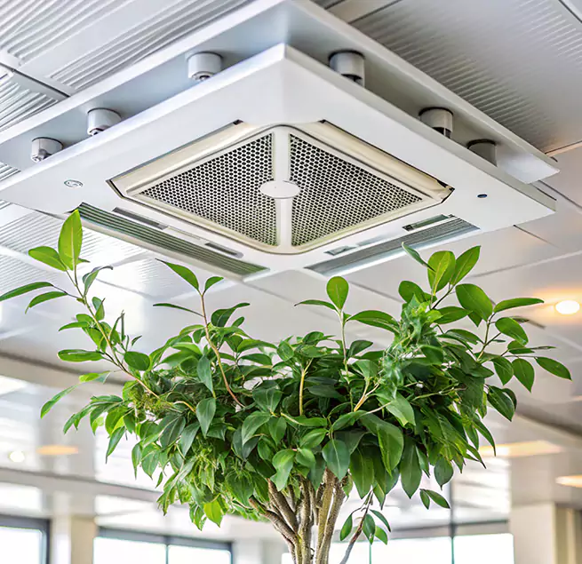 Why Homeowners & Businesses Trust Us in Union City, CA