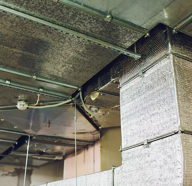 Why Homeowners & Businesses Trust Us in Union City, CA?