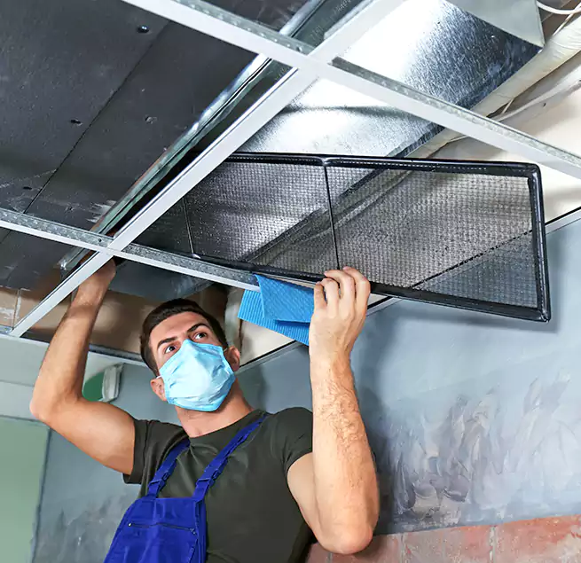 Why Homeowners Businesses Trust Us in Union City, CA